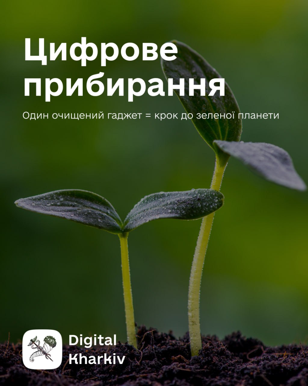 Цифрове прибирання? Легко! І корисно для планети!